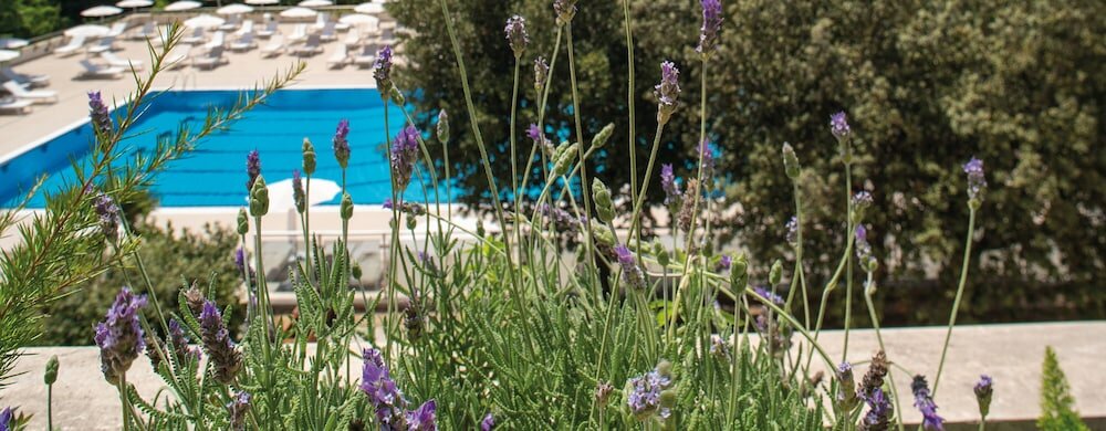 Фото Отель Villa Pamphili Roma