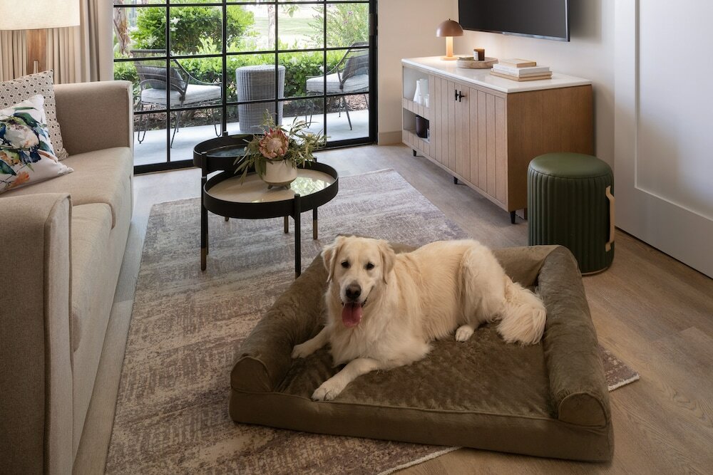 Фото The Steward, Santa Barbara, a Tribute Portfolio Hotel