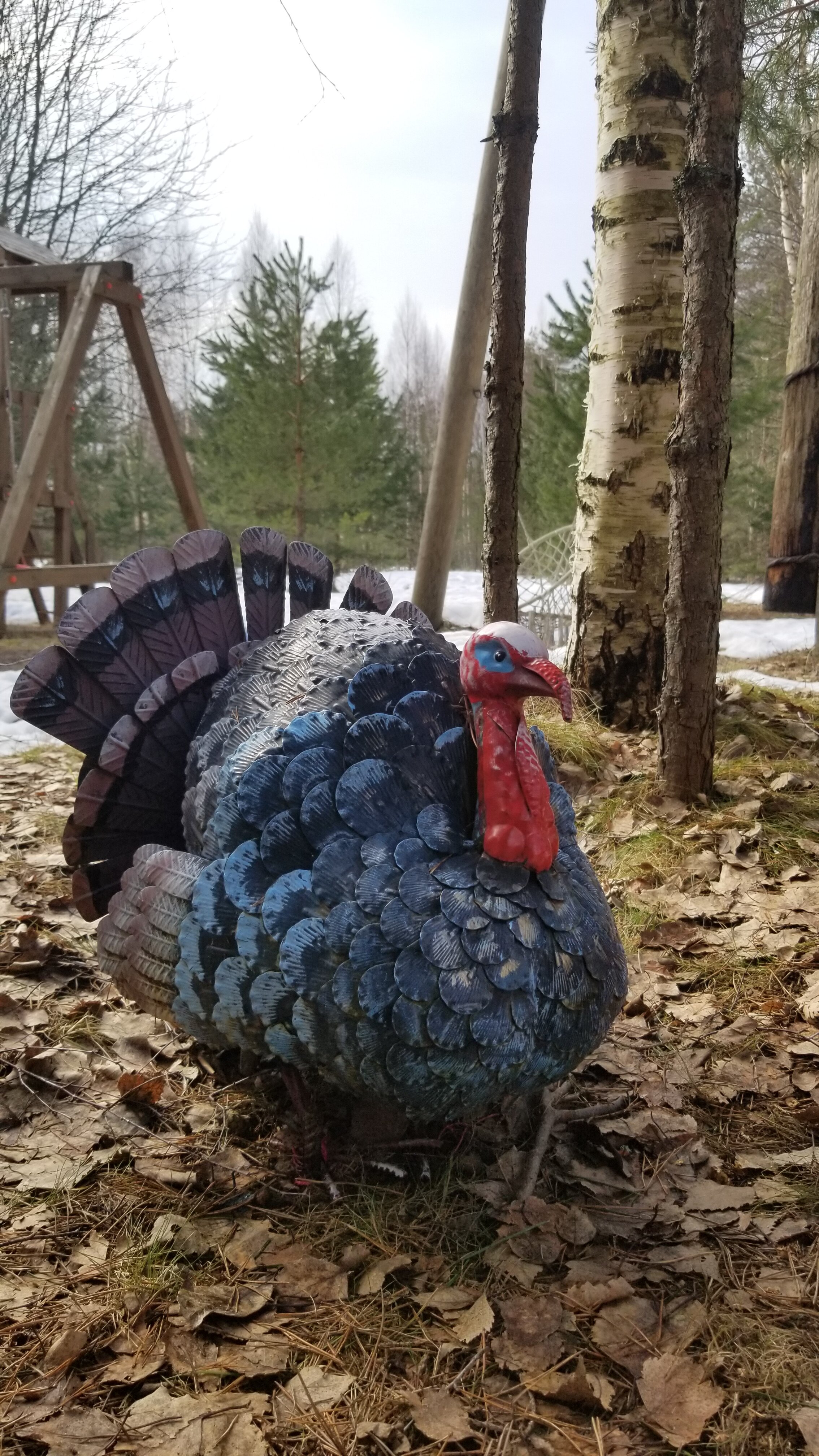 Фото Пять звезд