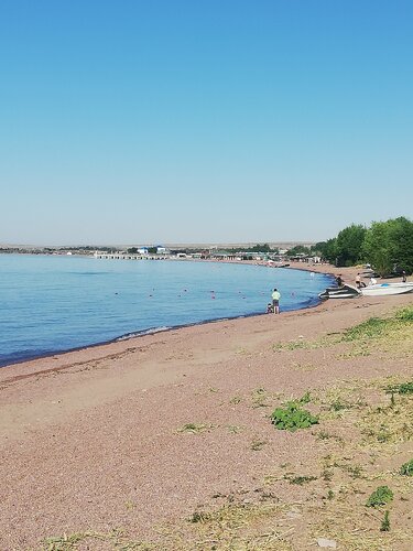 Әдемі, сымбатты жапон әйелі есекке сиып кетеді