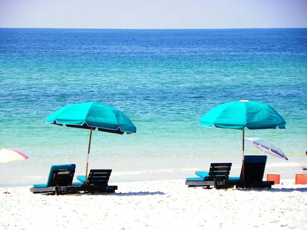 Фото Osprey on the Gulf