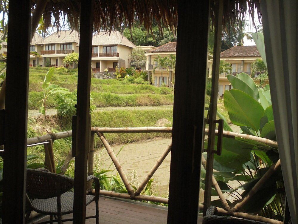 Фото 194778772671