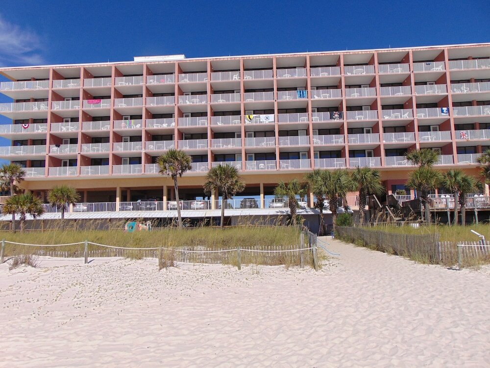 Фото Osprey on the Gulf