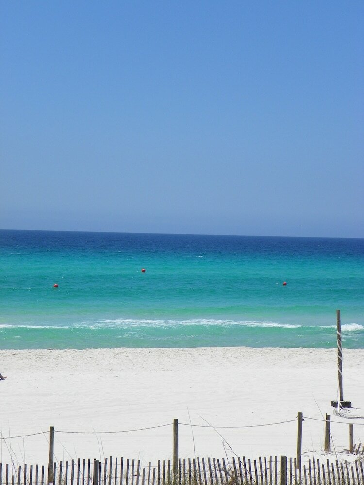 Фото Osprey on the Gulf