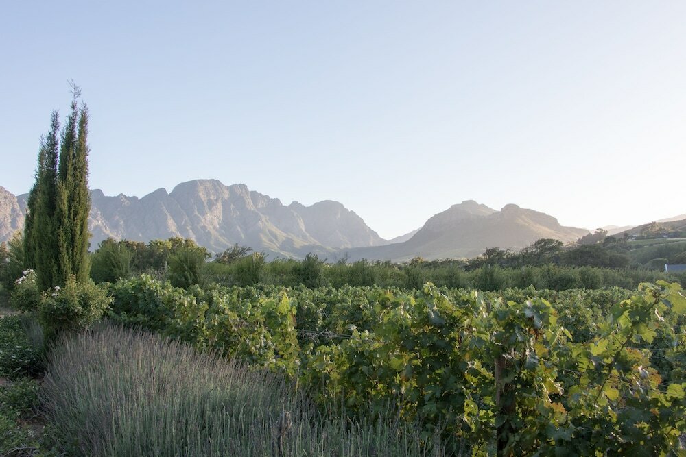 Фото La Clé Village