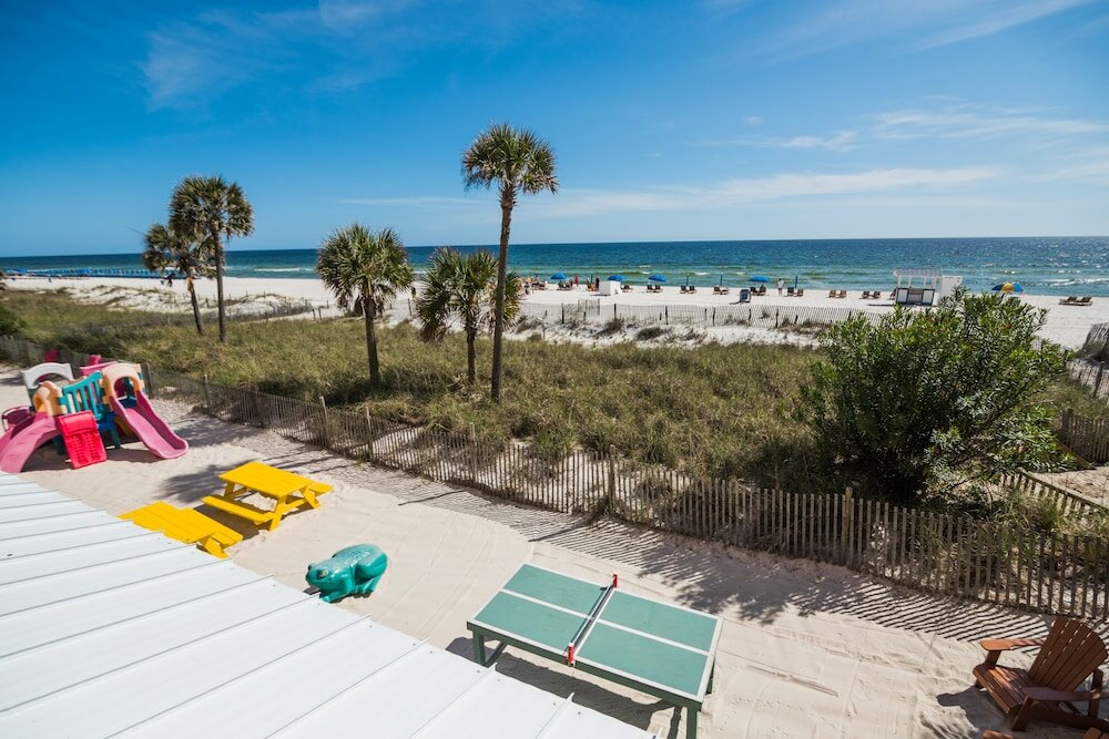 Фото Osprey on the Gulf