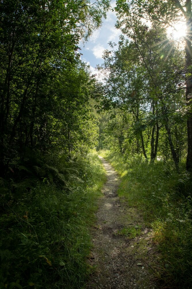 Фото Tromsø Lodge & Camping