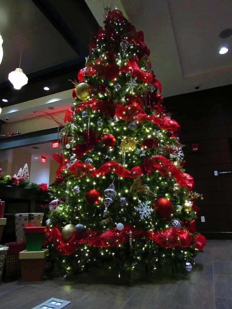 Фото Hilton Garden Inn Pittsburgh Downtown