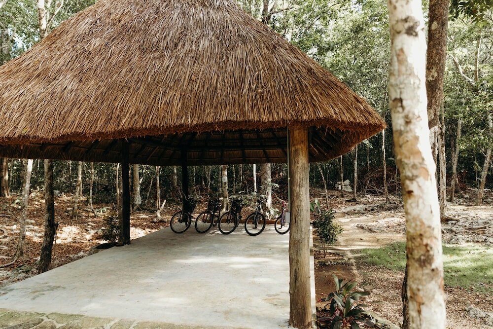 Фото Eco Lodge by Biwa