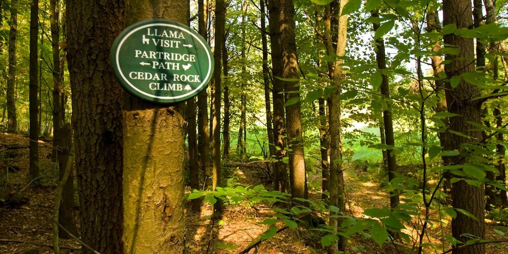 Фото Arlington's West Mountain Inn