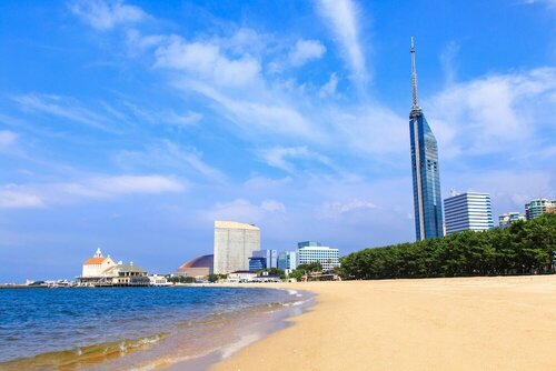 Гостиница Alphabed Inn Fukuoka Ohori Park в Фукуоке