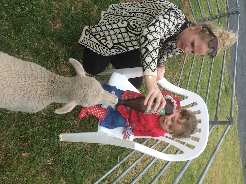 Фото Jugiong Motor Inn