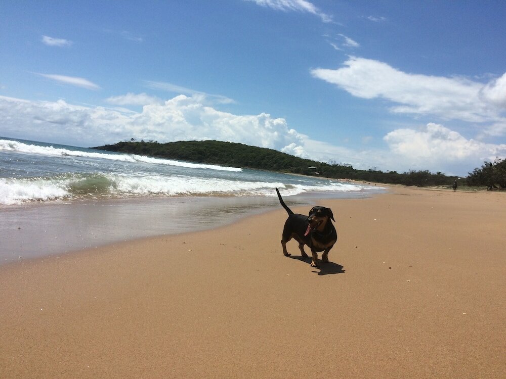 Фото Sunbird Gardens