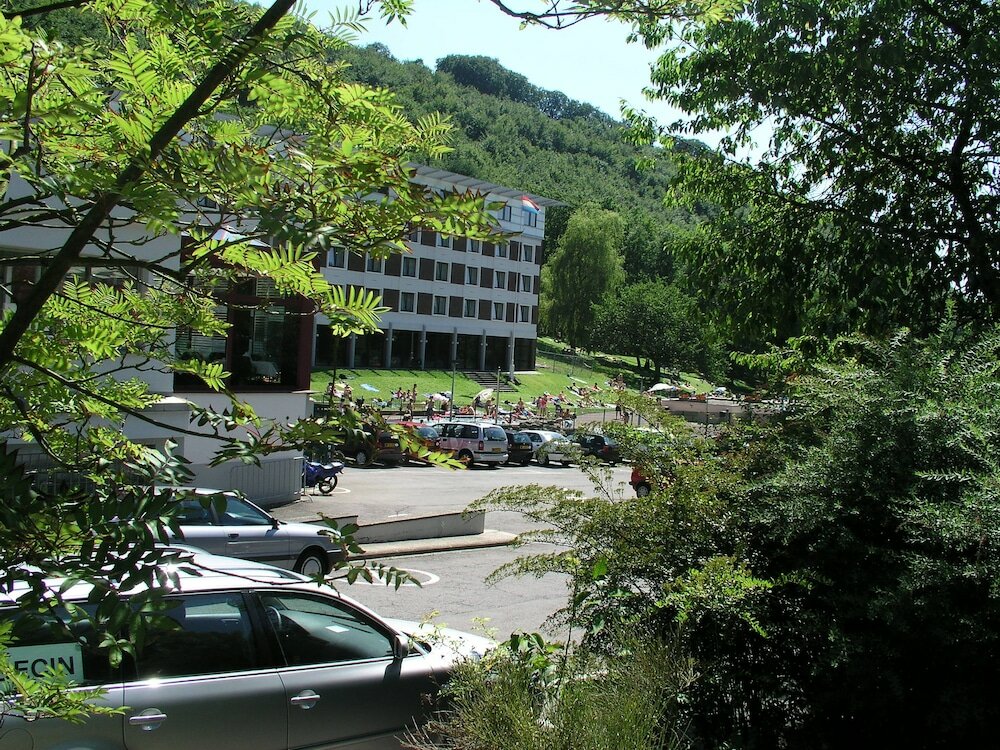 Фото 102559394865