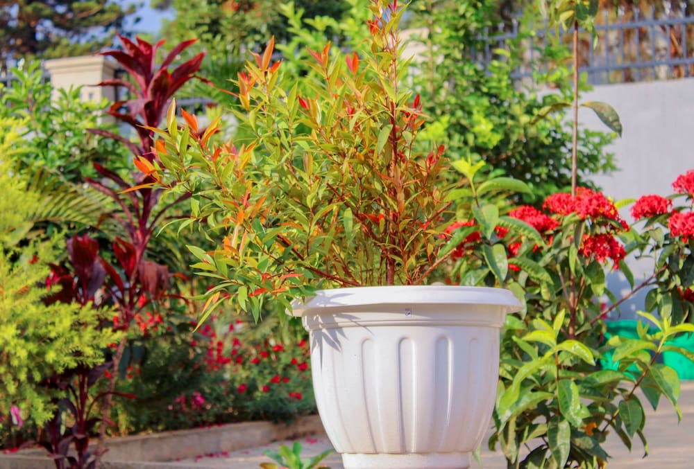 Фото Grafo Centre