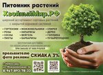 Coniferous world (Cheboksary, Mozhzhevelovaya ulitsa, 36), plant nursery