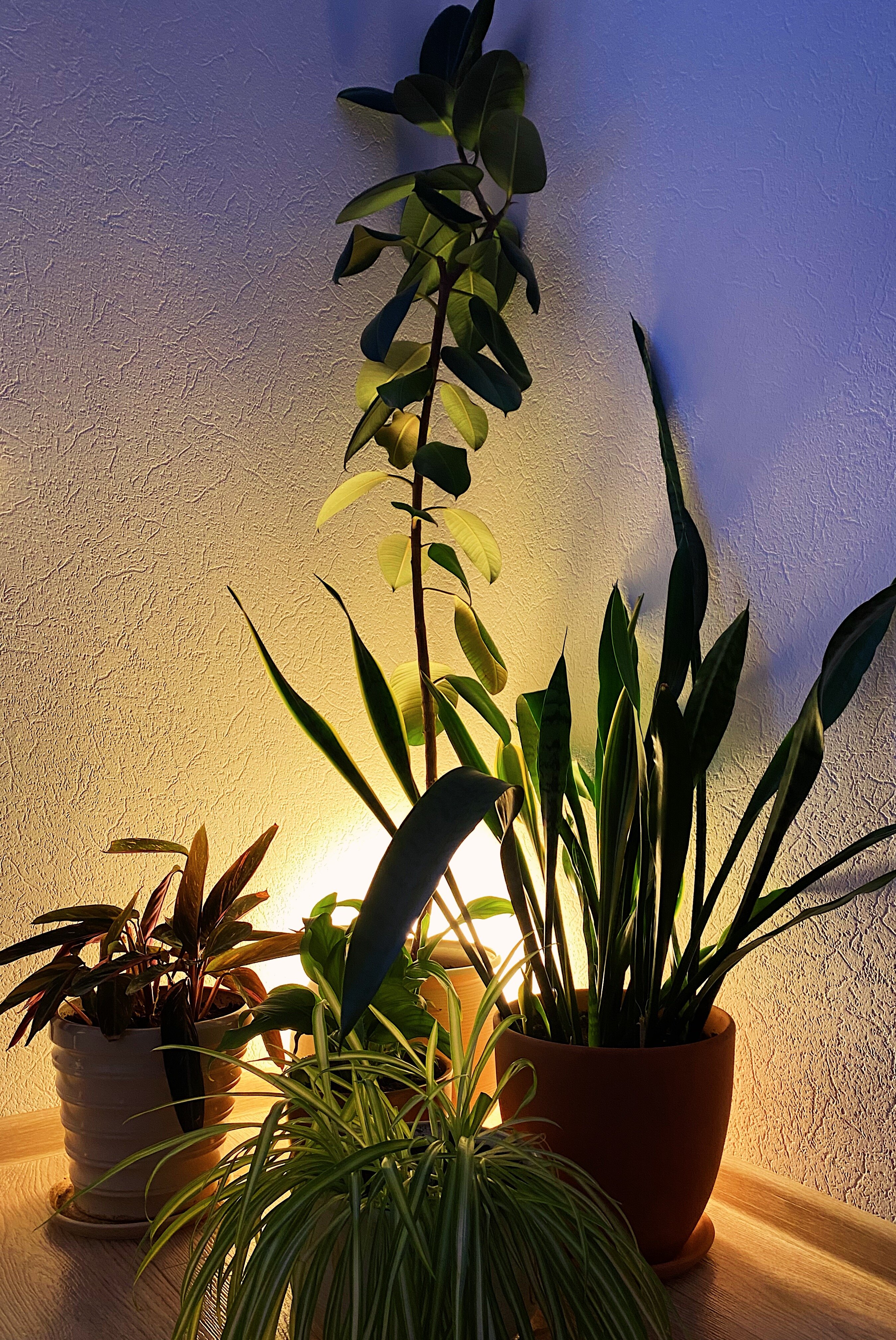 Фото Scandic Romantic Apartment