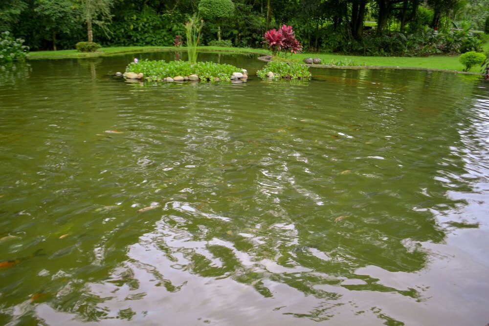 Фото Hotel El Tucano Resort & Thermal SPA