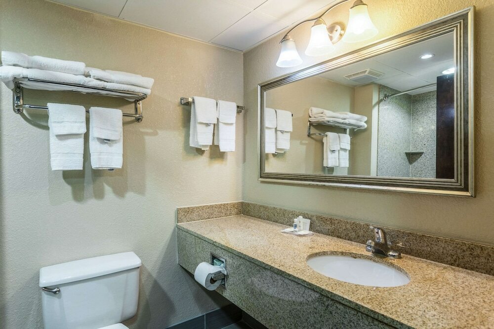 Фото Comfort Inn Decatur Priceville