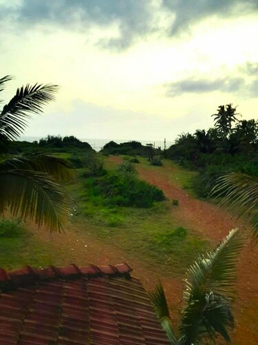 Гостиница Coral Beach Hotel Candolim
