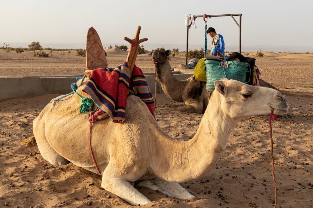 Фото Sultana Chigaga Camp