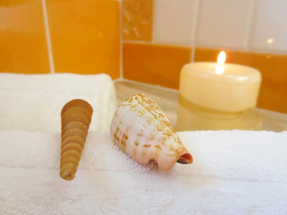 Фото Hotel Brancamaria