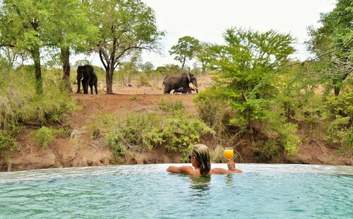 Внешний вид отеля Imbali Safari Lodge в Бушбакридже, фото 1