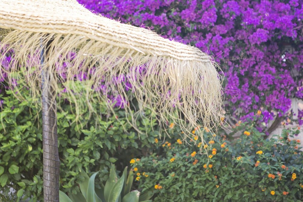 Фото Benalmádena Estudio