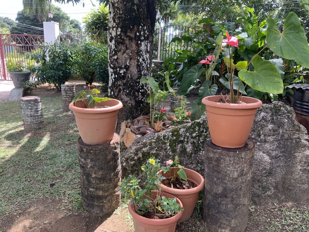 Фото The Orchard Holiday Home