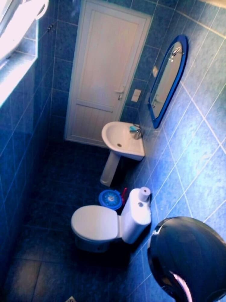 Фото Отель Shaulini