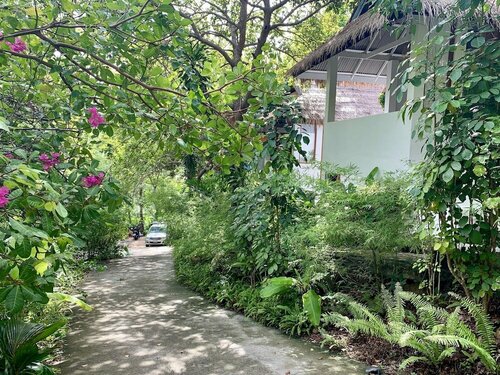 Гостиница Coconut Beach Bungalows