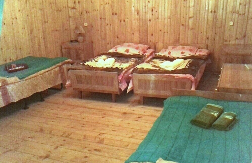 Фото Отель Shaulini