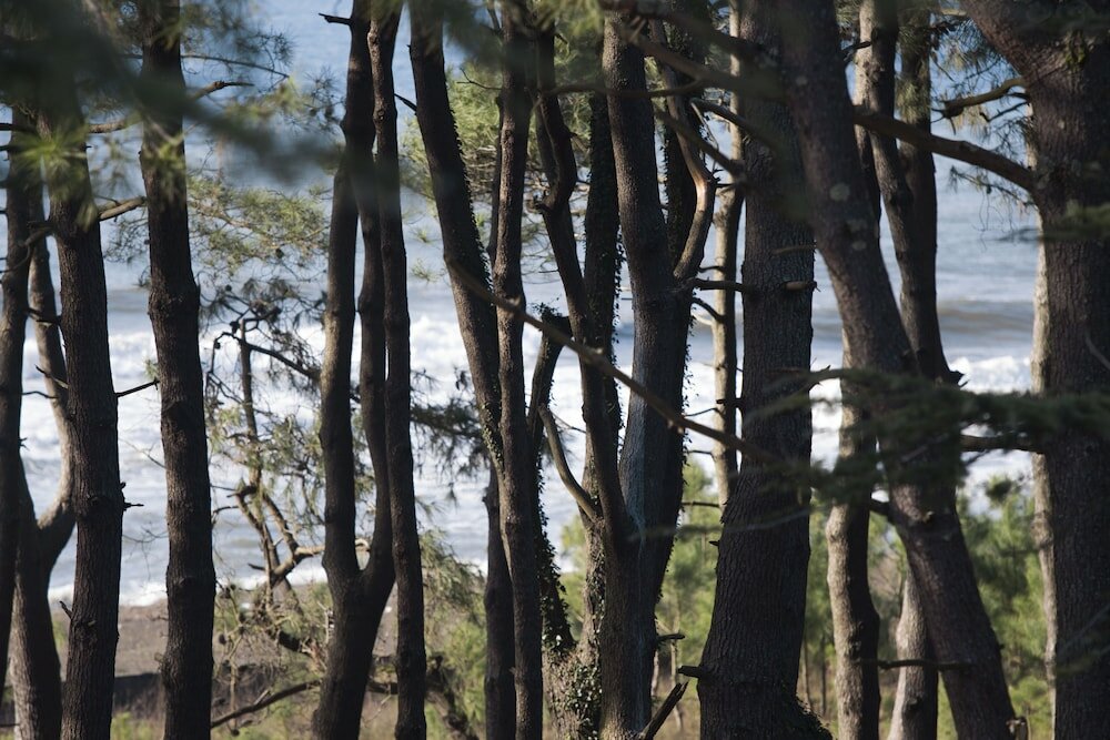 Фото Simple Pleasures Hotel