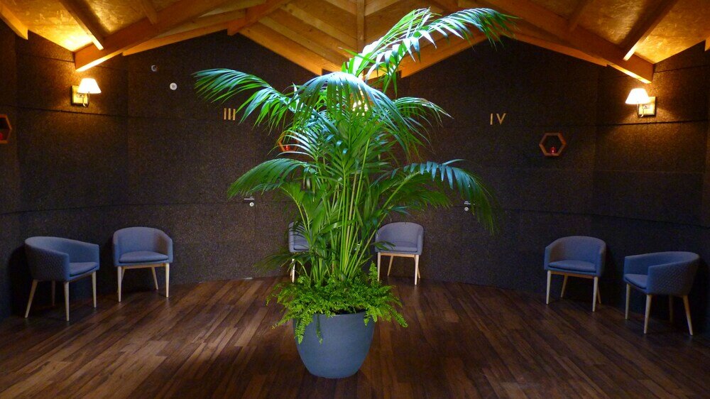 Фото Eco-Bungalow