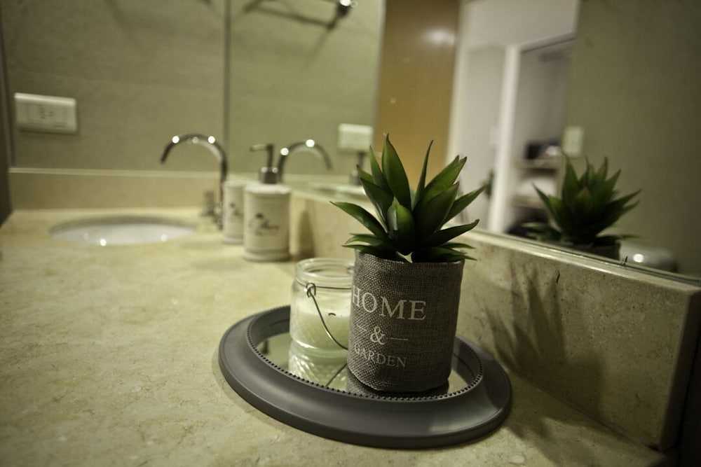 Фото Palermo Apart Unique