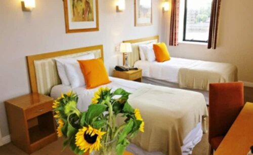 Гостиница The Pier Hotel в Лимерике