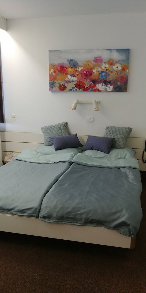 Фото Hotel Trojane