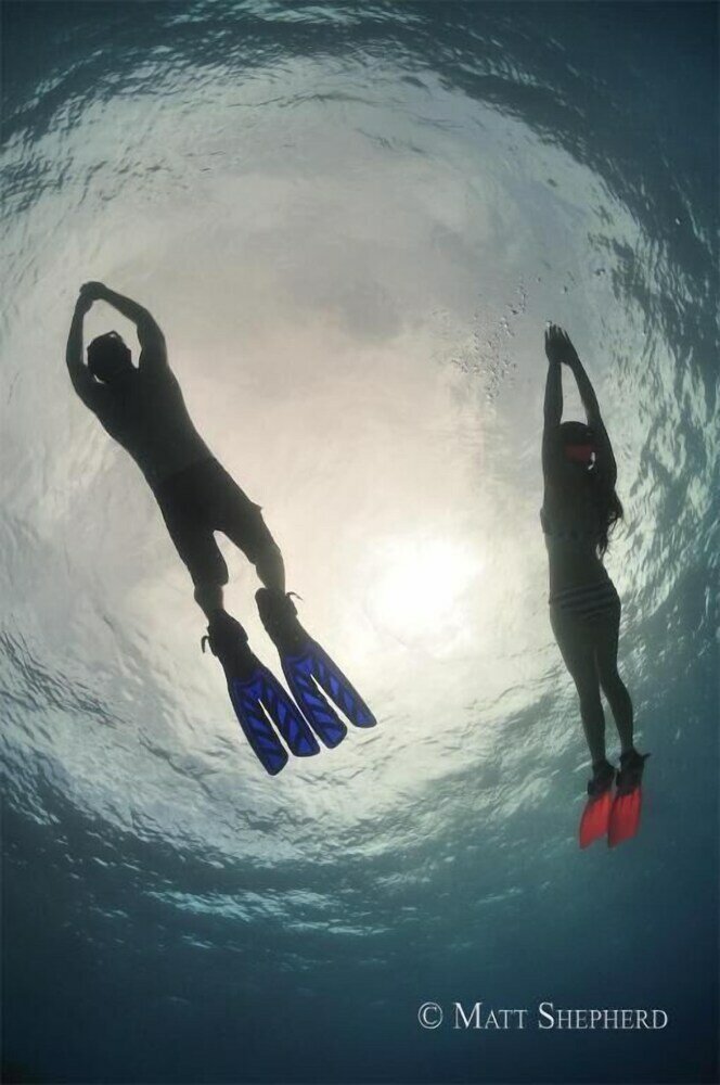 Фото Kosrae Nautilus Resort