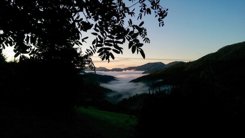 Фото Hotel Trojane