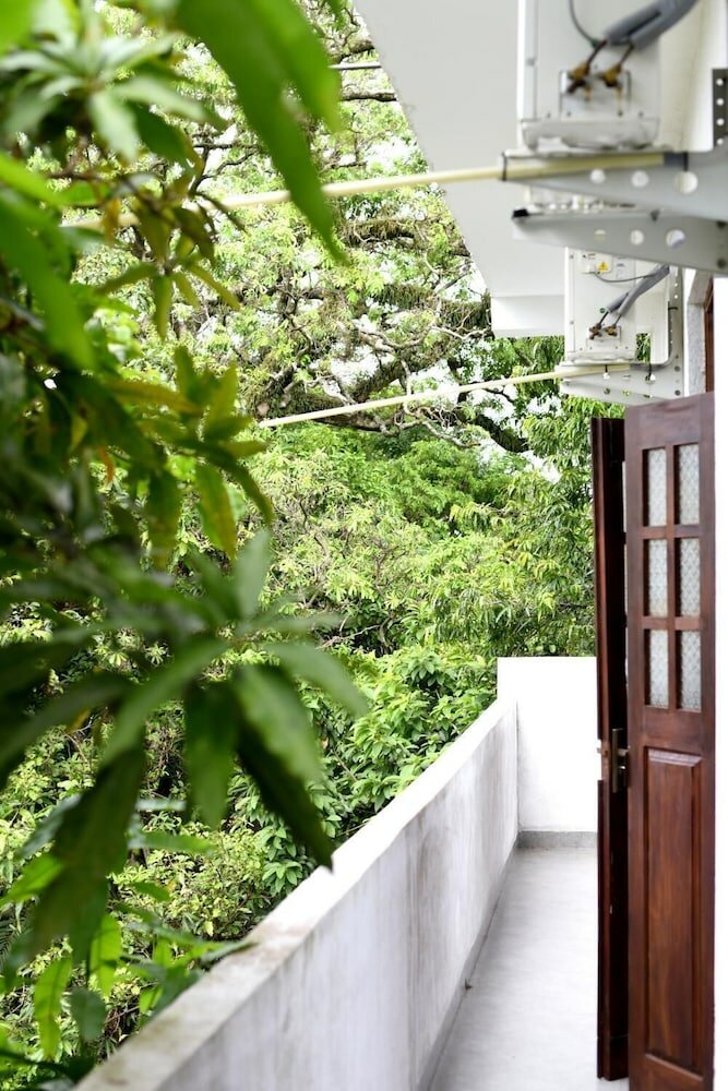 Фото Steps Backpackers Hostel