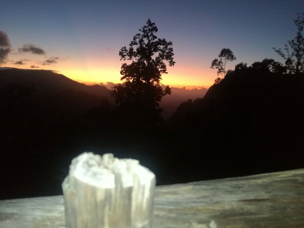 Фото The Kanro Ella