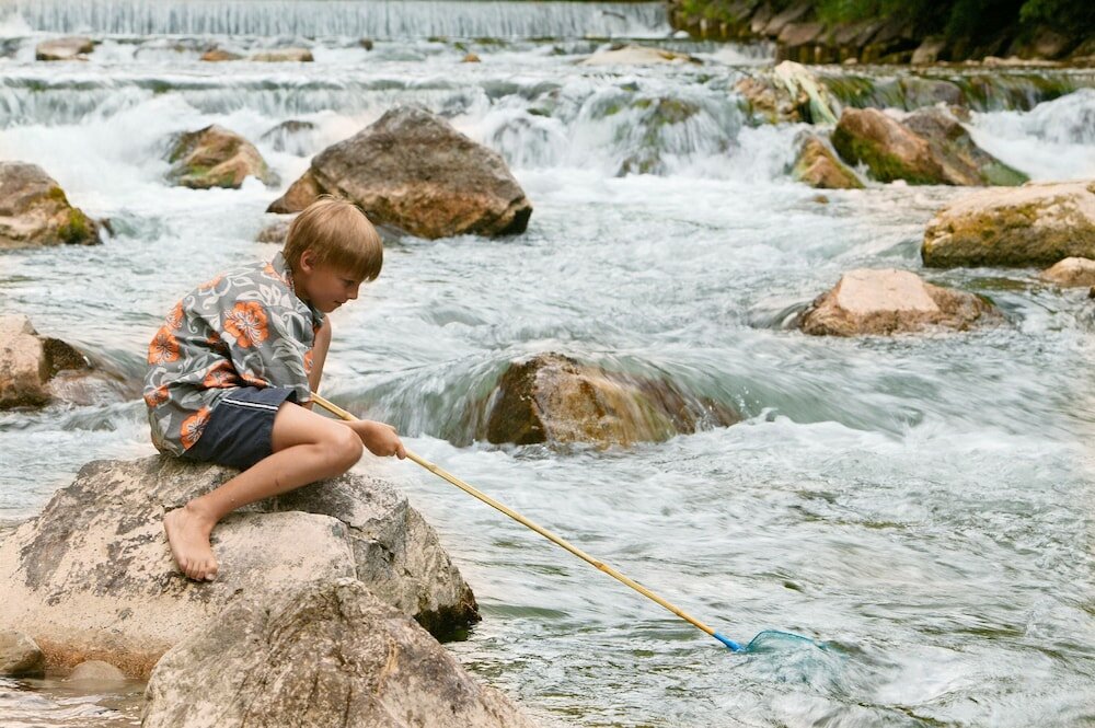 Фото Ferienwohnungen am Buchbrunnen
