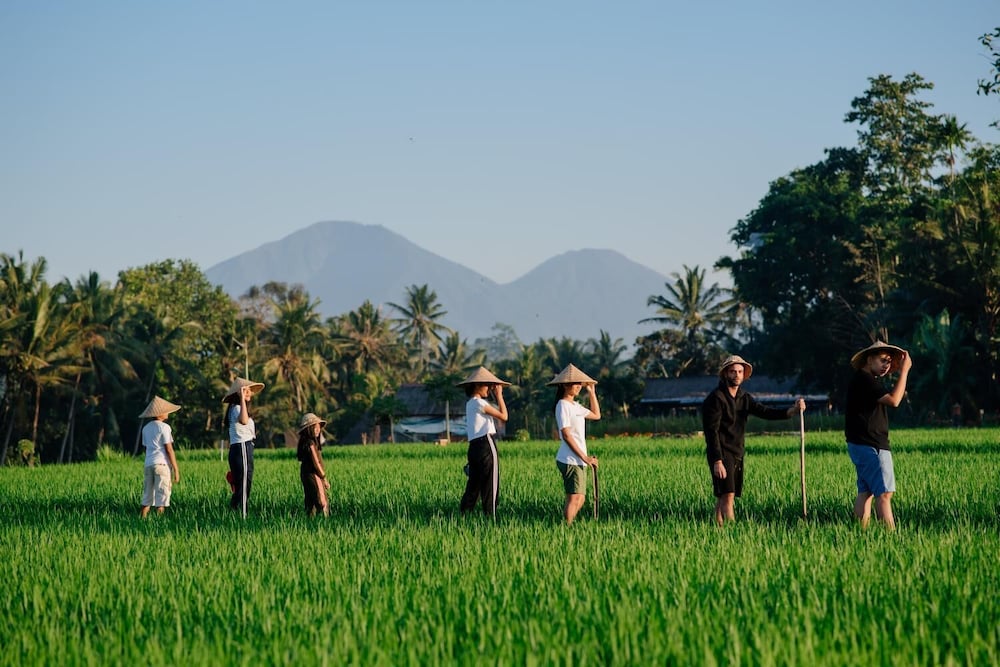 Фото Bakungan diJero Homestay