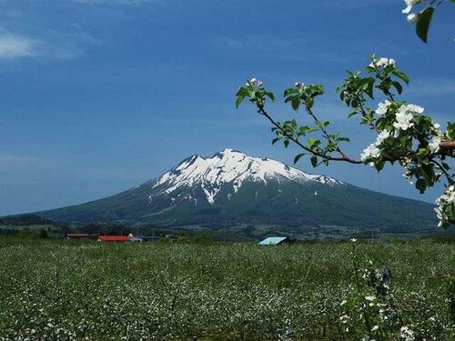 Гостиница Art Hotel Hirosaki City в Хиросаки