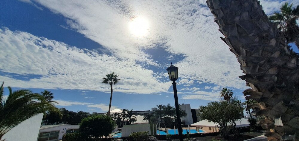 Фото Palmeras Garden