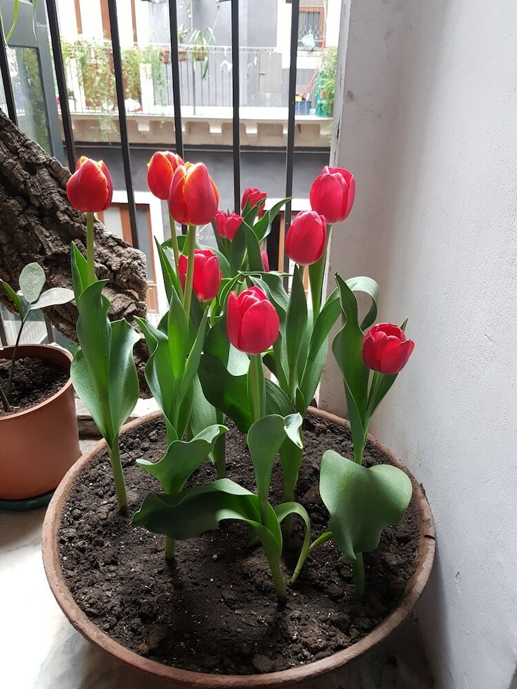 Фото B&b Bellini