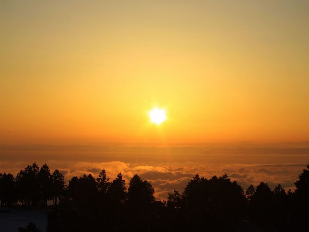 Фото Hakone Yunohana Prince Hotel