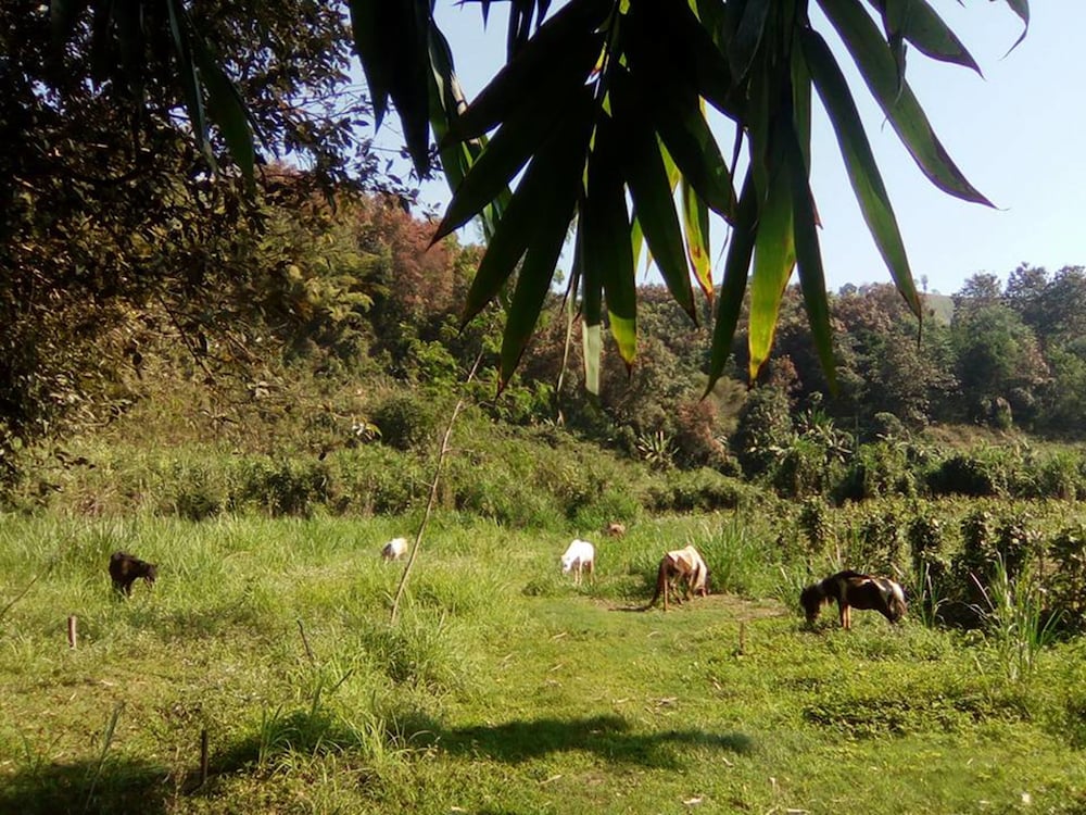 Фото Phu Chaisai Mountain Resort