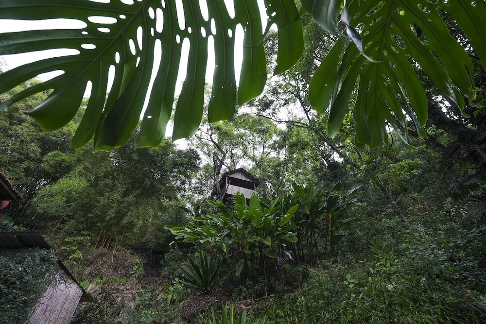 Фото Tea Valley Resort