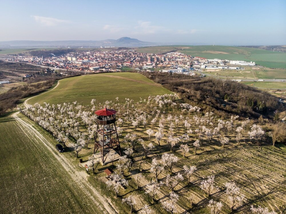 Фото Wine Wellness Hotel Amande